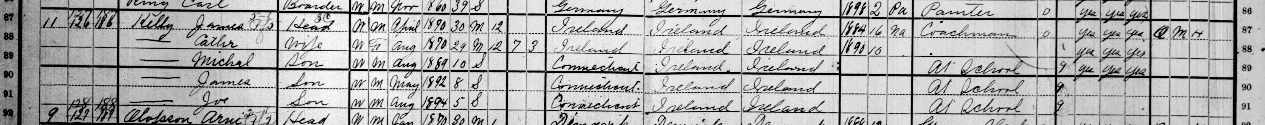 1900 census household rows for James and Cathrine Kelly and their sons Michael, James and Joe