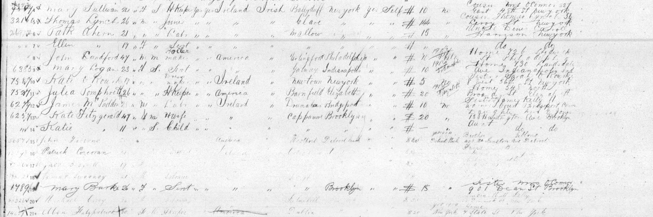 Preview of Completed Teutonic passenger manifest